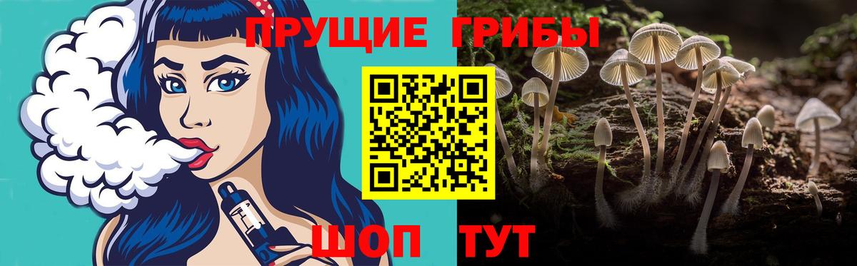 Прохладный  Галлюциногенные грибы MAGIC MUSHROOMS  Вход с VPN 